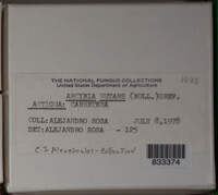 Image Associated With the Occurence